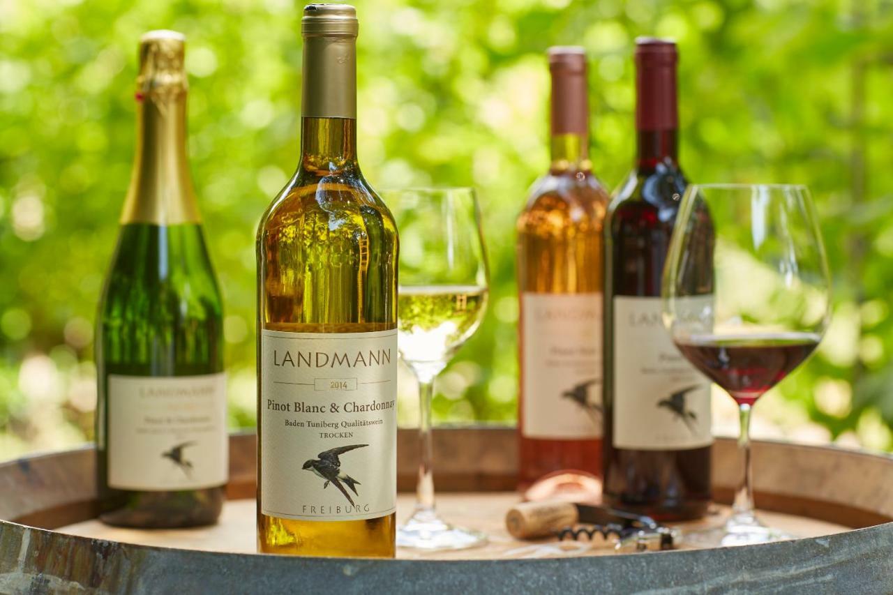 Weingut Landmann Ferienwohnungen Friburgo in Brisgovia Esterno foto